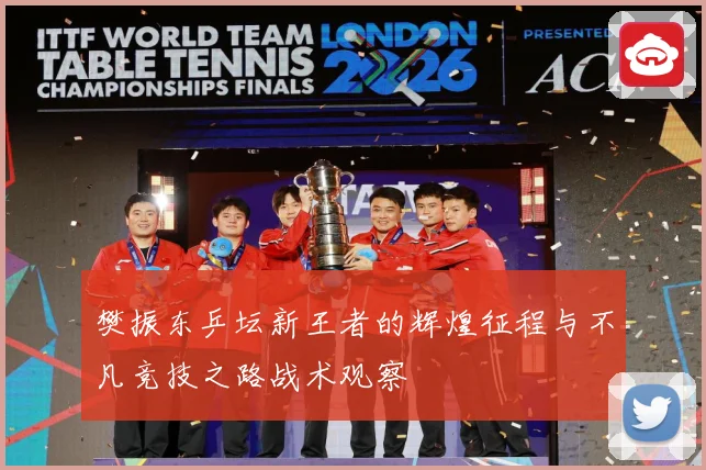 樊振东乒坛新王者的辉煌征程与不凡竞技之路战术观察