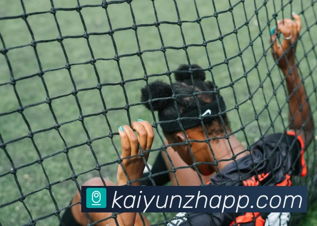 开云平台展示图